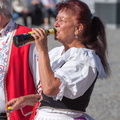  DSC0236upr